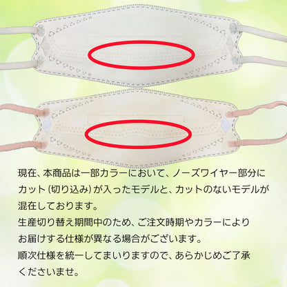 50枚入り立体マスク N50-RT