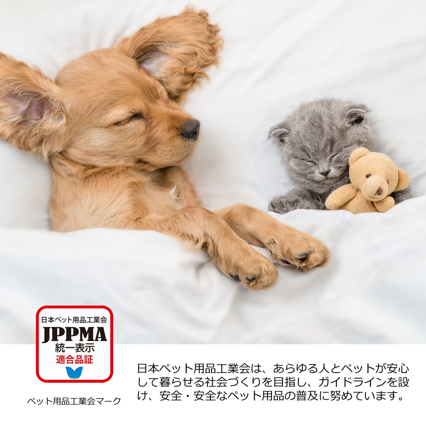 ペットシーツ炭入り厚型レギュラー NB-C-petsheets