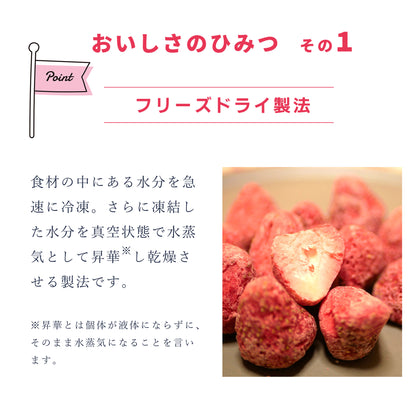 フルーツチップス AK-fruitchips