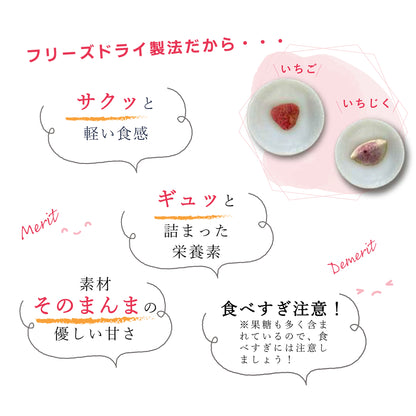 フルーツチップス AK-fruitchips