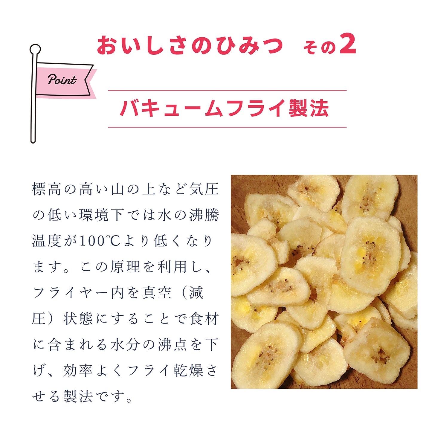 フルーツチップス AK-fruitchips