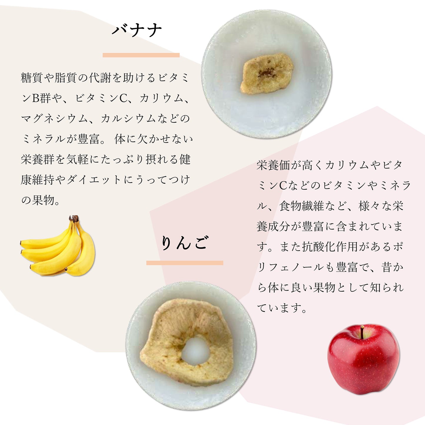 フルーツチップス AK-fruitchips