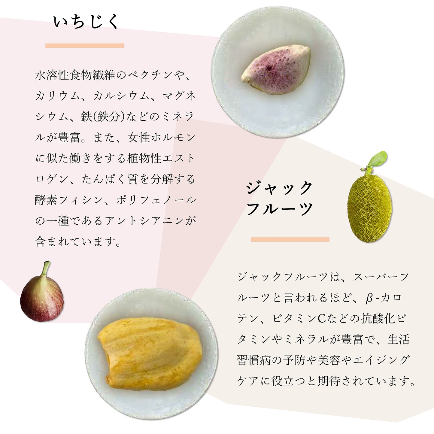 フルーツチップス AK-fruitchips
